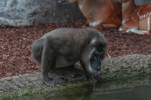 Pikakasino: Nopeat Ja Luotettavat Kasinoäratkisut Suomessa 2026