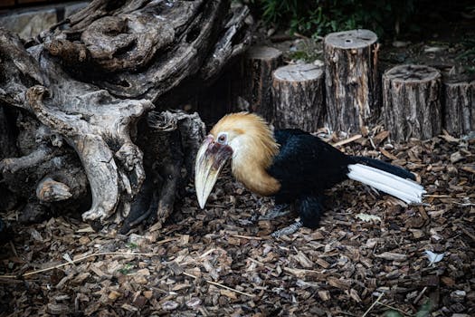 Liljana Kaboo: Slot-pelaaminen Ja Kasinot Suomessa