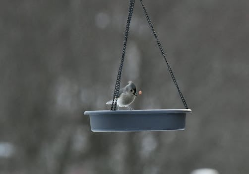 Edullista Autolainaa: Vinkit Ja Kilpailutus Parhaan Rahoituksen Löytämiseksi