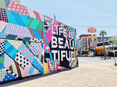 Pelikonetta Spider: Toiminta Ja Ominaisuudet