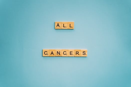 Pikakasino Bonus: Parhaat Tarjoukset Ja Edut Suomalaisille