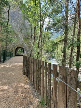 S-Pankki Luottokortti Hinnasto: Maksut Ja Ehdot