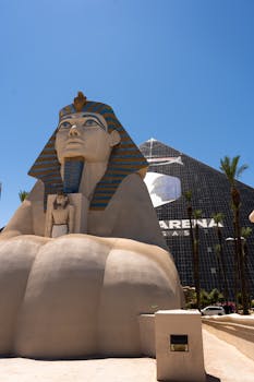 Vedonlyöntibonukset Kierrätys: Oppia Palautusvaatimuksiin Ja Edullisiin Bonuksiin