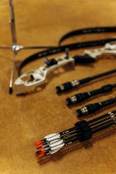 Wildz Bonuskoodi Ja Bonusvalikoima: Vinkit Ja Tarjoukset Suomessa