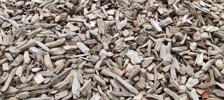 Nordeasta Lainaa Ilman Takaajia: Mahdollisuudet Ja Tarjoukset