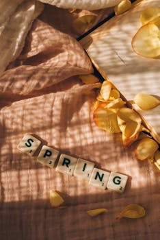 Autoliike Omarahoitus: Helppo Tapa Hankkia Auto Tai Kone Omaan Budjettiin