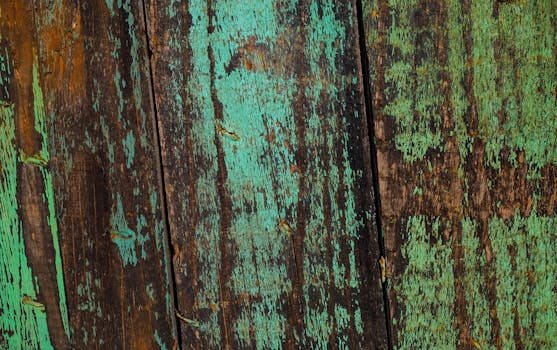 S Pankki Laina Takaaja: Keskustelut Ja Käytännöt