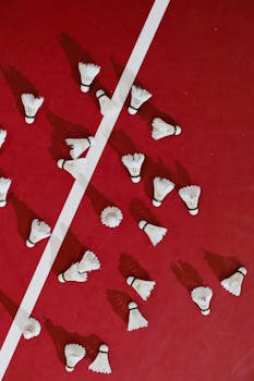 S Pankki Kortin Kuukausimaksu: Selvitys Ja Kustannusten Vertailu