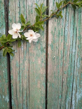 Finnair Plus Visa Gold - Reittipisteet Ja Edut Matkalla Casinoihin Ja IGamingiin