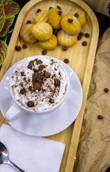 Virolaiset Vipit: Lainavaihtoehdot Ja Käyttäjän Kokemukset