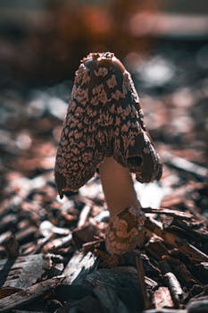 Yrityslainaa Vaikea Saada: Syyt Ja Ratkaisut